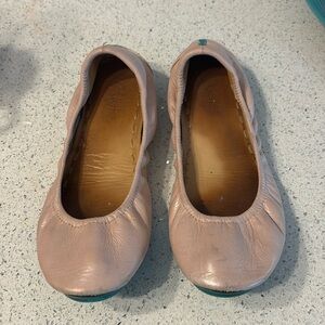 Ballet Pink Tieks and matching Tarrago